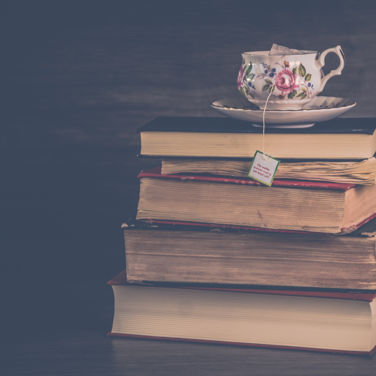 Blind Date Editions: Mystery Wrapped Book & Hidden Gifts | Surprise Novel with Bookish Treats